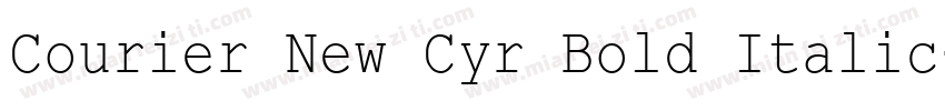 Courier New Cyr Bold Italic字体转换